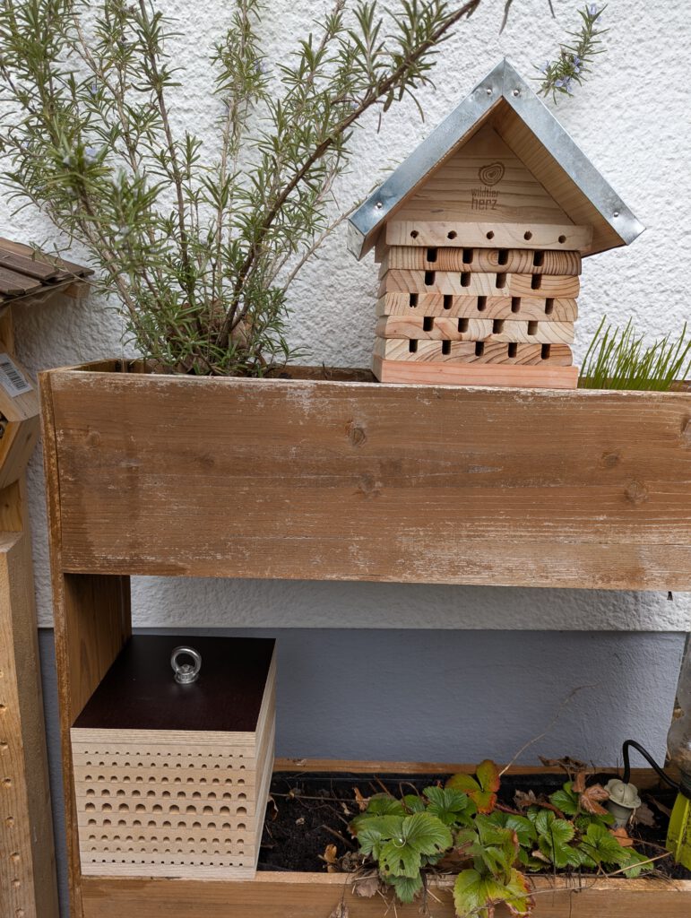 Wildbienen kleine Helden